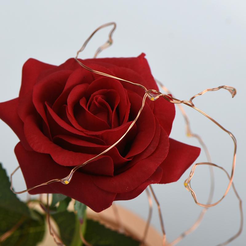 Enchanted Red Rose